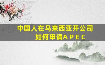 中国人在马来西亚开公司如何申请A P E C